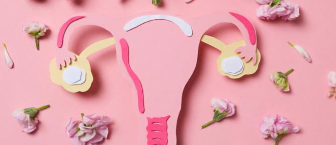 干細胞治療卵巢早衰：如何實現短期卵巢功能改善到長期卵巢組織的恢復？