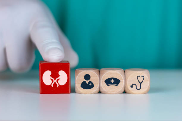 干細胞治療腎病的短期安全性:機制與臨床證據 干細胞治療腎病的短期安全性:機制與臨床證據