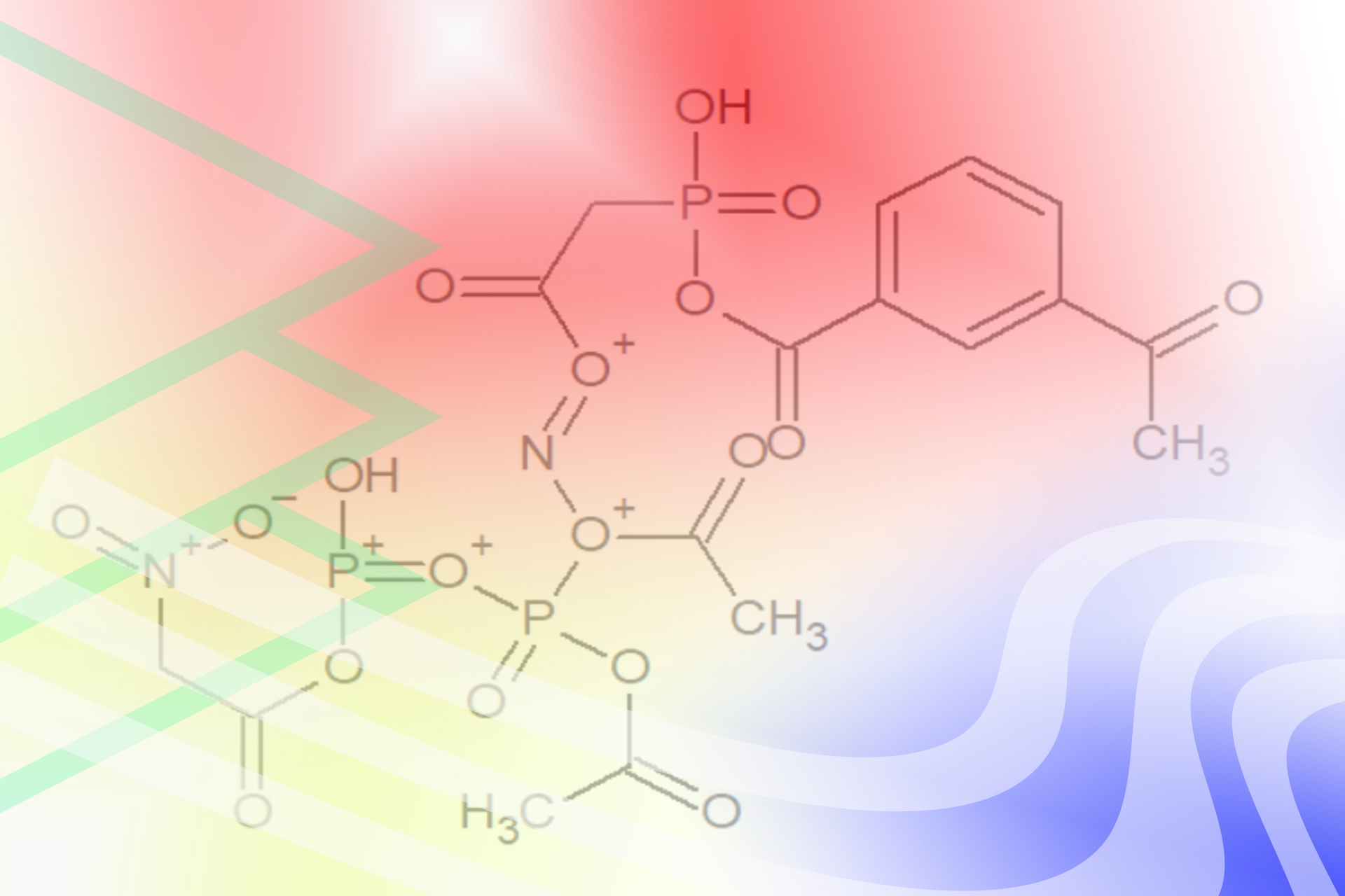 神經(jīng)膠質細胞