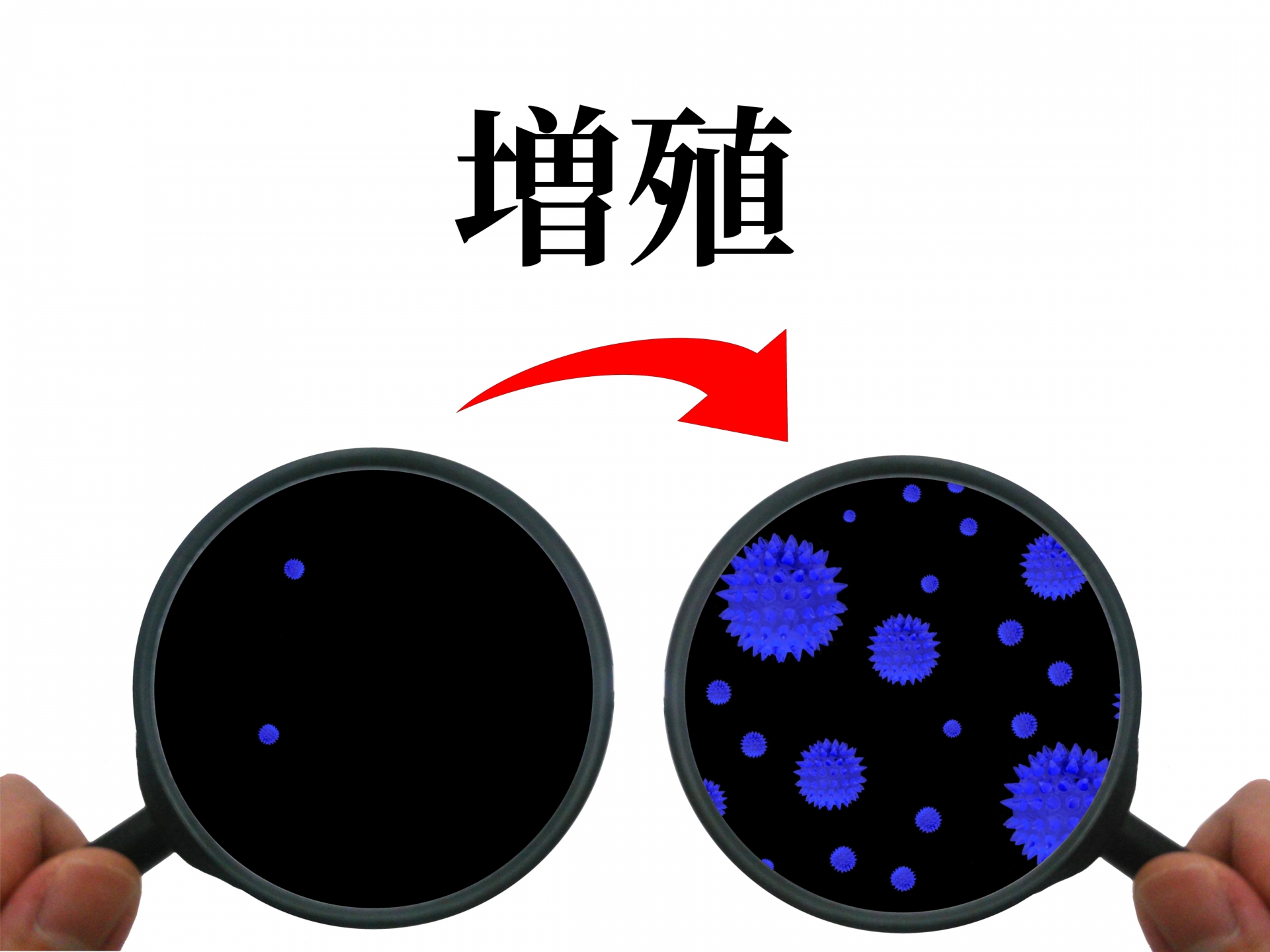 神經(jīng)膠質細胞