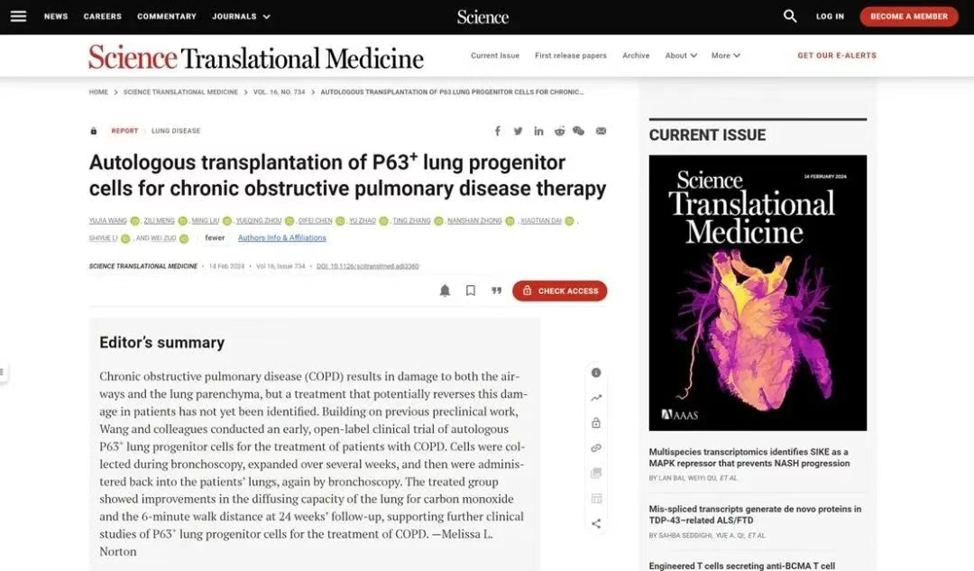 移植自體P63陽性肺前體細(xì)胞用于慢性阻塞性肺病的治療 移植自體P63陽性肺前體細(xì)胞用于慢性阻塞性肺病的治療
