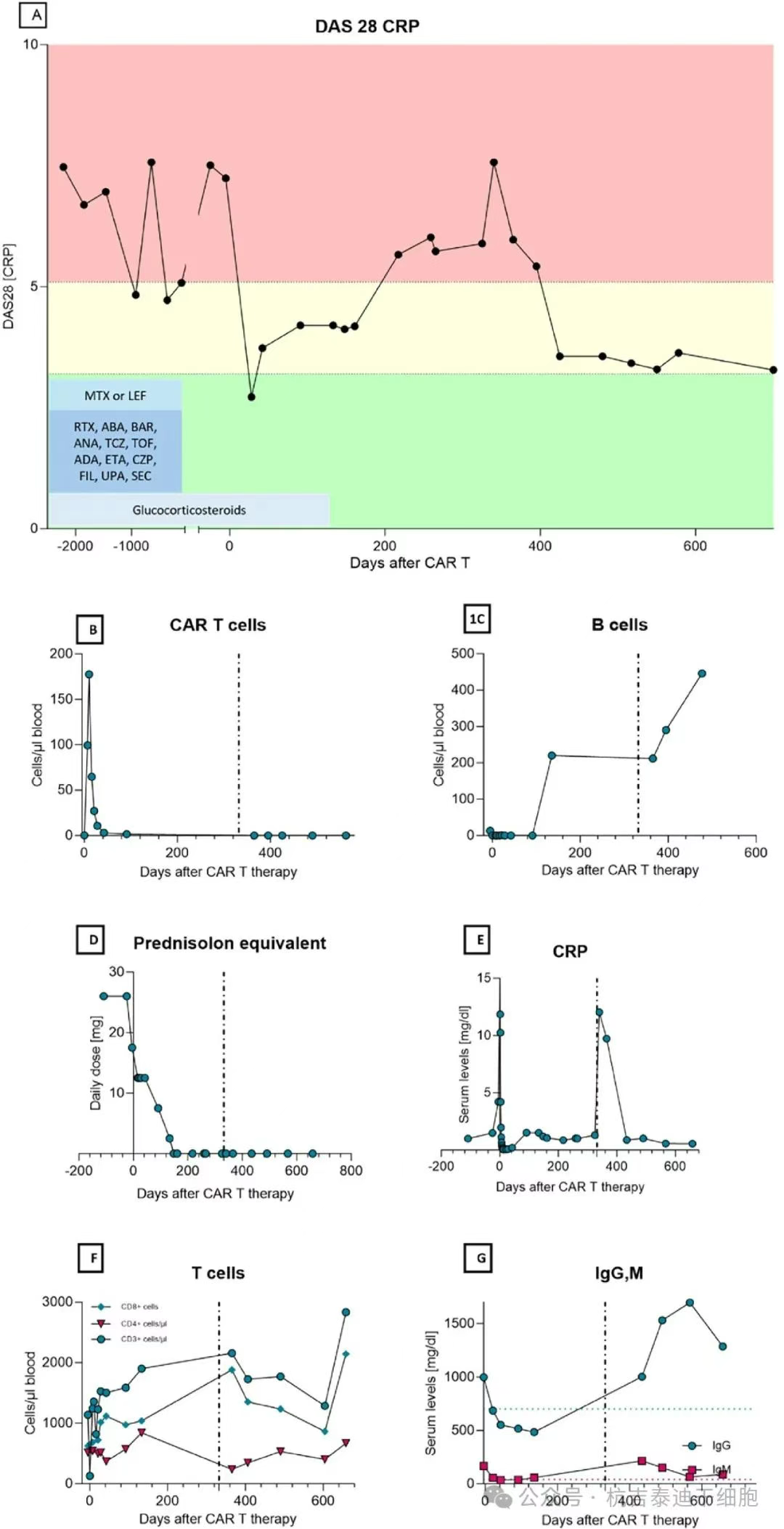 圖1：通過(guò)DAS28和依次給予的伴隨藥物測(cè)量的CAR-T細(xì)胞療法和HSCT在RA疾病活動(dòng)性方面的結(jié)果