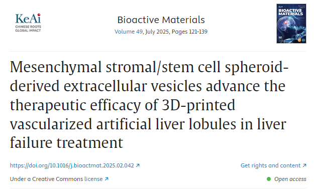間充質基質/干細胞球體衍生的細胞外囊泡提高3D打印血管化人工肝小葉在肝衰竭治療中的療效
