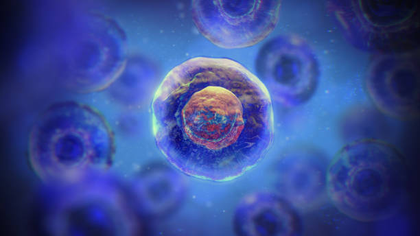 間充質(zhì)干細(xì)胞一針多少錢?2025年價(jià)格全景圖與避坑指南 間充質(zhì)干細(xì)胞一針多少錢?2025年價(jià)格全景圖與避坑指南