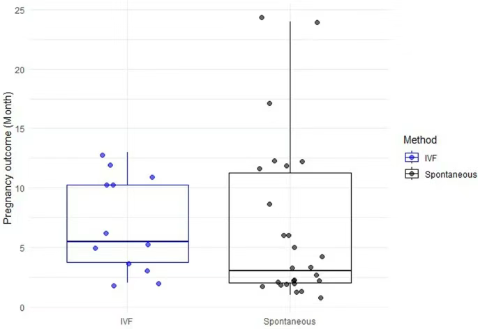 干細胞注射后每月的妊娠結局分布