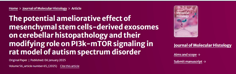 間充質干細胞衍生的外泌體對自閉癥譜系障礙大鼠小腦組織病理學的潛在改善作用及其對 PI3k-mTOR 信號傳導的調節作用 間充質干細胞衍生的外泌體對自閉癥譜系障礙大鼠小腦組織病理學的潛在改善作用及其對 PI3k-mTOR 信號傳導的調節作用