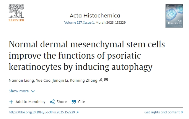 正常真皮間充質干細胞通過誘導自噬改善銀屑病角質形成細胞的功能