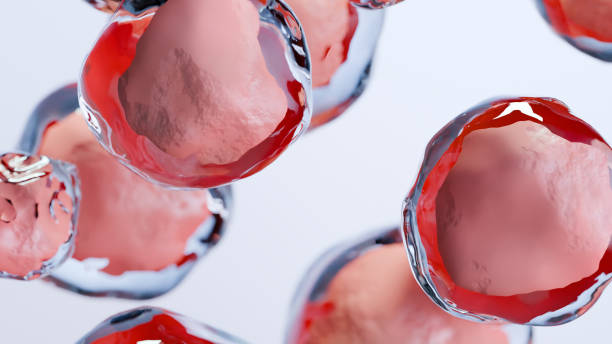 臍帶血干細胞移植的優缺點有哪些：30kg以下首選，成人應用存在瓶頸