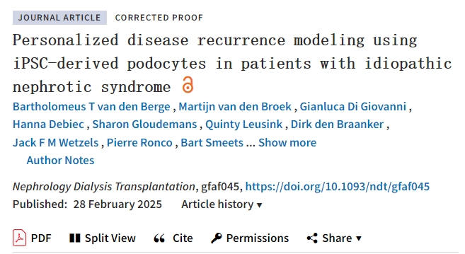 使用 iPSC 衍生的足細胞對特發性腎病綜合征患者進行個性化疾病復發建模 使用 iPSC 衍生的足細胞對特發性腎病綜合征患者進行個性化疾病復發建模