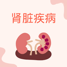 干細胞治療腎病：什么時候進入臨床？