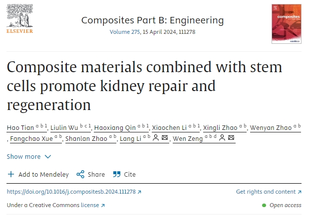 復合材料結合干細胞促進腎臟修復再生