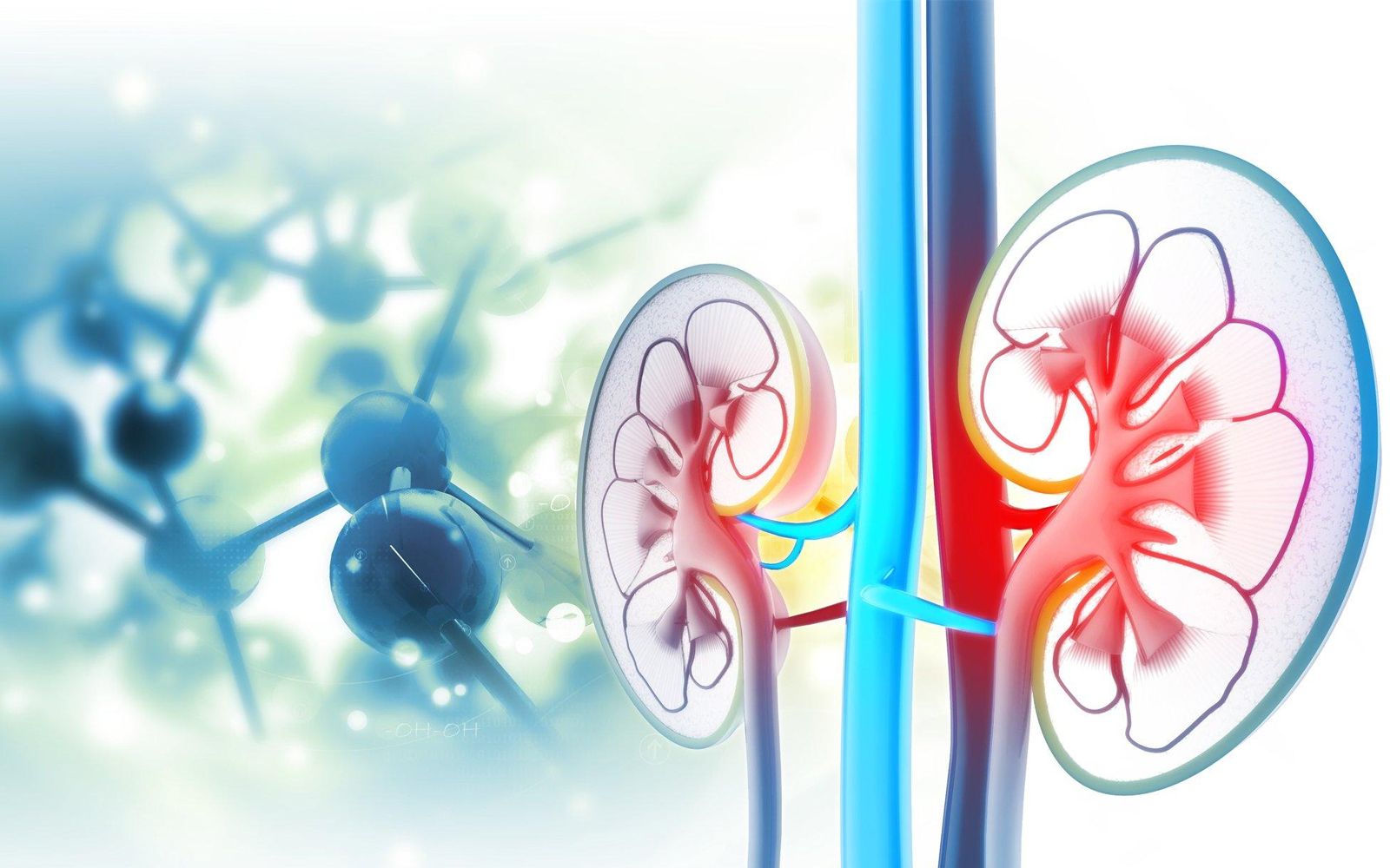 REGEND003：全球首款腎干細胞治療慢性腎病獲批臨床試驗