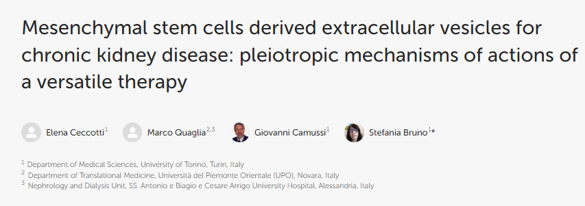 間充質干細胞衍生的細胞外囊泡用于治療慢性腎臟?。憾喙δ墀煼ǖ亩嘈ё饔脵C制