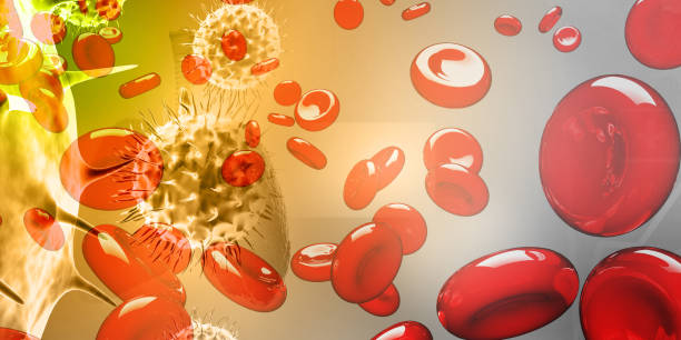 上海有哪些醫(yī)院開展了干細(xì)胞治療血液病與腫瘤的研究？