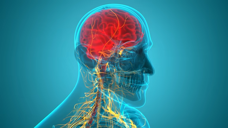 上海有哪些醫(yī)院開展了干細(xì)胞治療神經(jīng)系統(tǒng)與罕見病的研究？