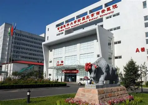 首都醫(yī)科大學附屬北京佑安醫(yī)院