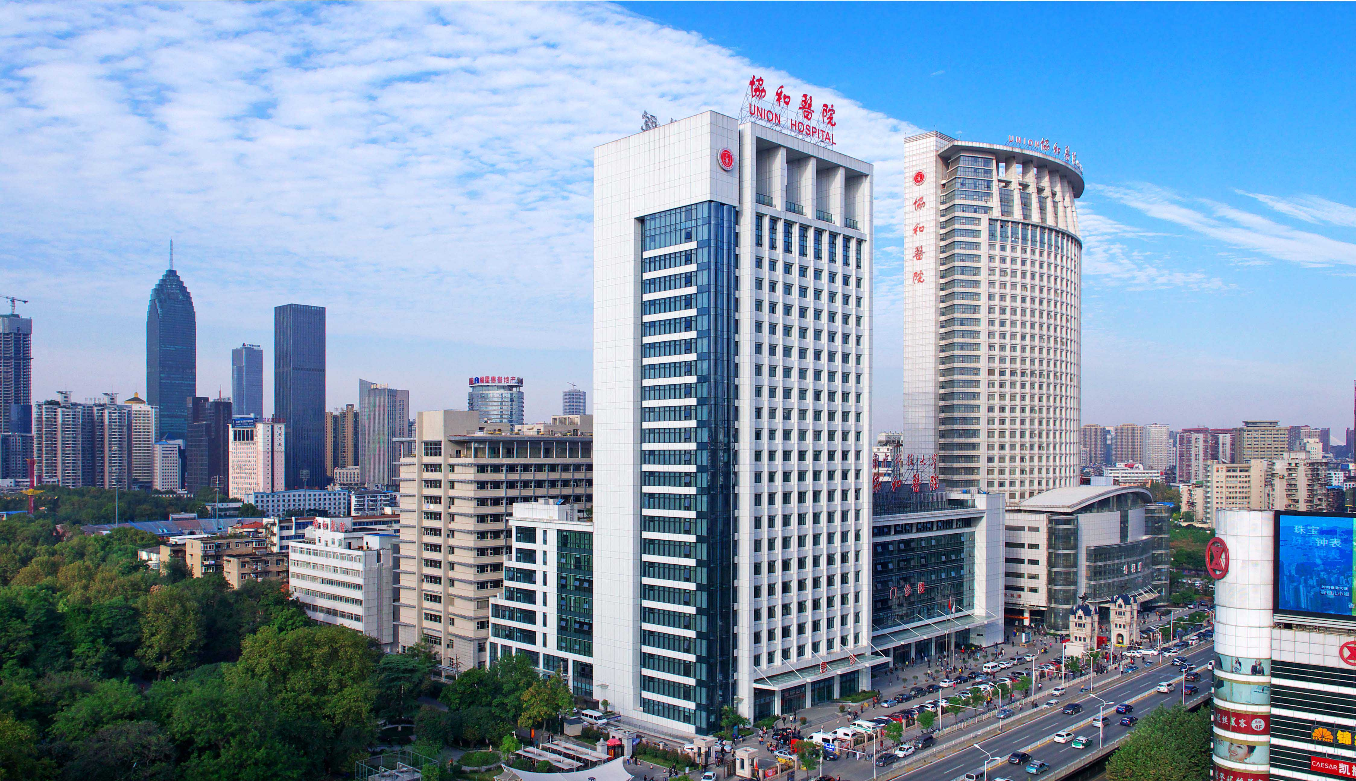 華中科技大學同濟醫學院附屬協和醫院 華中科技大學同濟醫學院附屬協和醫院