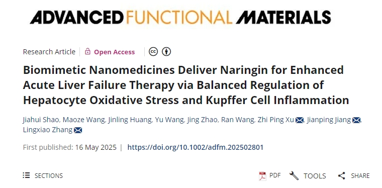仿生納米藥物遞送柚皮苷，通過平衡調節肝細胞氧化應激和庫普弗細胞炎癥來增強急性肝衰竭治療