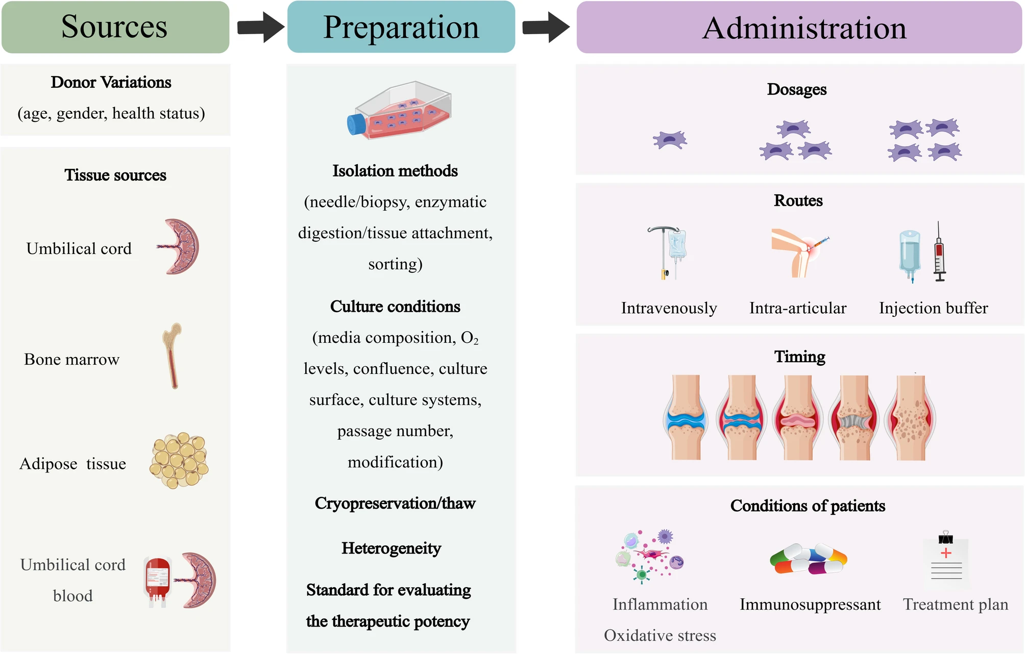 圖6:MSCs在類風(fēng)濕性關(guān)節(jié)炎的臨床應(yīng)用中,需要精確地標(biāo)準(zhǔn)化參數(shù)。 圖6:MSCs在類風(fēng)濕性關(guān)節(jié)炎的臨床應(yīng)用中,需要精確地標(biāo)準(zhǔn)化參數(shù)。
