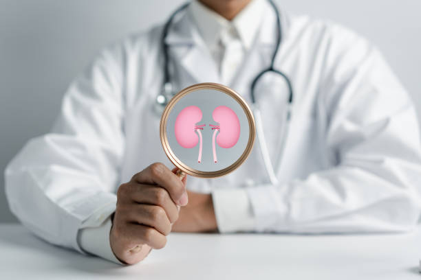 動脈內(nèi)輸注間充質(zhì)干細(xì)胞治療糖尿病腎病，腎功能衰退顯著減緩