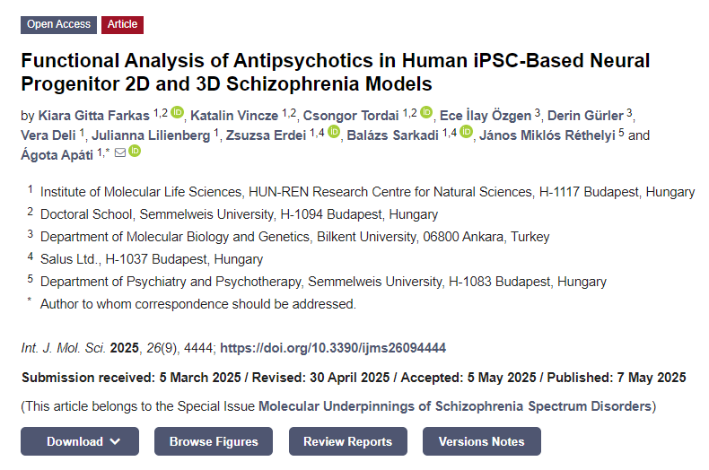 抗精神病藥物在基于人類 iPSC 的神經(jīng)祖細胞2D和3D精神分裂癥模型中的功能分析