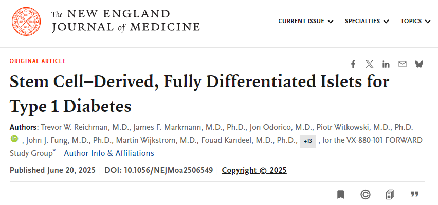 干細(xì)胞來源的完全分化胰島用于1型糖尿病