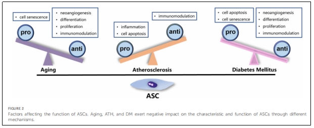 臨床研究 臨床研究