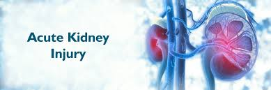 干細(xì)胞治療急性腎損傷:1例患者術(shù)后血清肌酐水平顯著改善 | 成功案例 干細(xì)胞治療急性腎損傷:1例患者術(shù)后血清肌酐水平顯著改善 | 成功案例