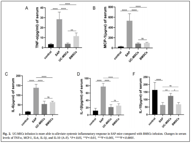 圖2:與BMSCS相比,UC-MSCs的輸注更能緩解SAP小鼠的系統(tǒng)性炎癥反應。 圖2:與BMSCS相比,UC-MSCs的輸注更能緩解SAP小鼠的系統(tǒng)性炎癥反應。