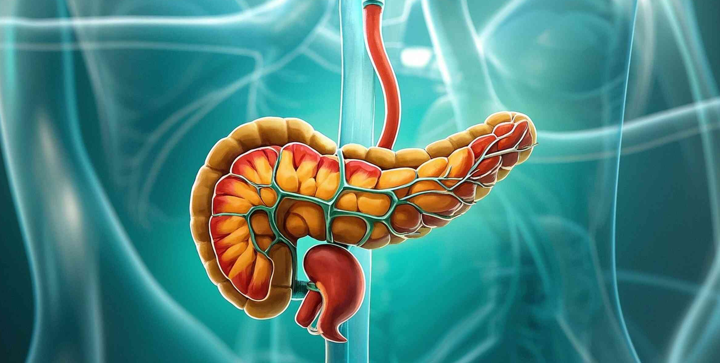 系統(tǒng)性保護!間充質(zhì)干細胞療法為重癥胰腺炎帶來新曙光 系統(tǒng)性保護!間充質(zhì)干細胞療法為重癥胰腺炎帶來新曙光