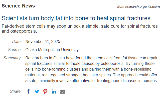 科學家將人體脂肪轉化為骨骼,用于修復脊柱骨折 科學家將人體脂肪轉化為骨骼,用于修復脊柱骨折