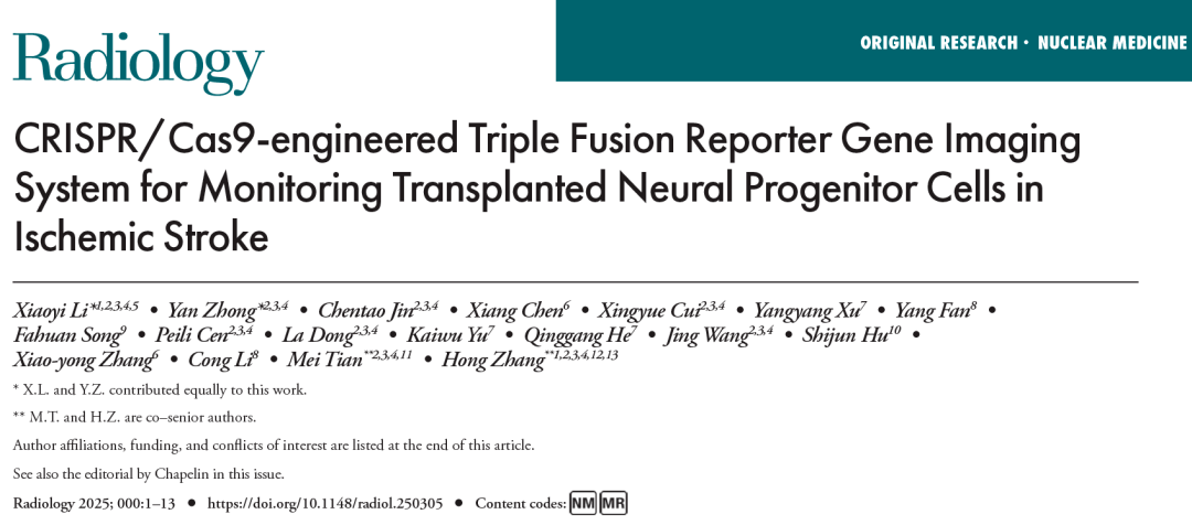 利用 CRISPR/Cas9 技術構建的三融合報告基因成像系統監測缺血性中風中移植的神經祖細胞
