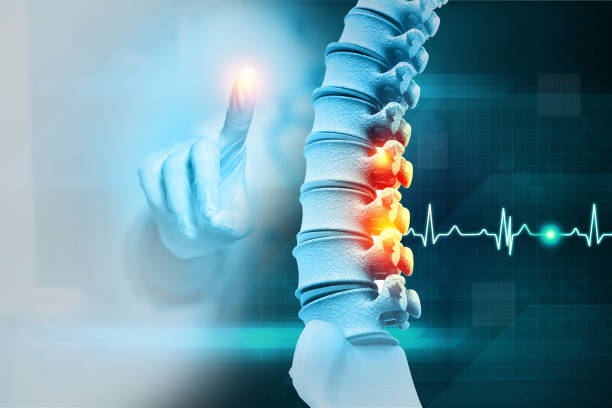 脊髓損傷患者為什么會(huì)接受干細(xì)胞治療?探索神經(jīng)修復(fù)的新希望 脊髓損傷患者為什么會(huì)接受干細(xì)胞治療?探索神經(jīng)修復(fù)的新希望