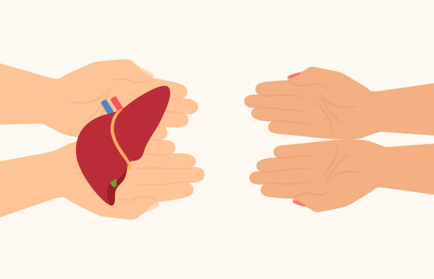 干細(xì)胞治療肝硬化現(xiàn)不現(xiàn)實(shí)?80項(xiàng)臨床數(shù)據(jù)告訴你答案 干細(xì)胞治療肝硬化現(xiàn)不現(xiàn)實(shí)?80項(xiàng)臨床數(shù)據(jù)告訴你答案