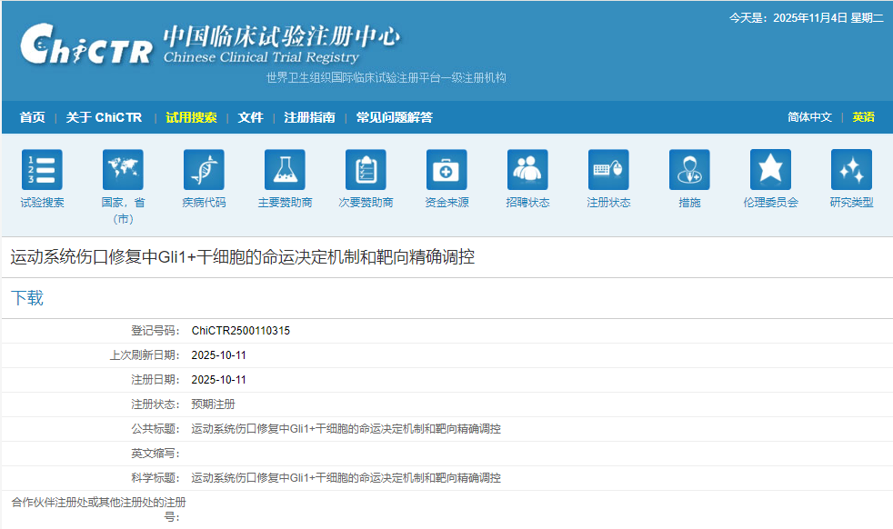 運(yùn)動(dòng)系統(tǒng)傷口修復(fù)中Gli1+干細(xì)胞的命運(yùn)決定機(jī)制和靶向精確調(diào)控